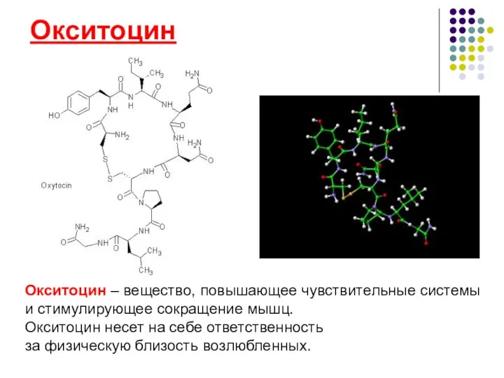 Окситоцин Окситоцин – вещество, повышающее чувствительные системы и стимулирующее сокращение