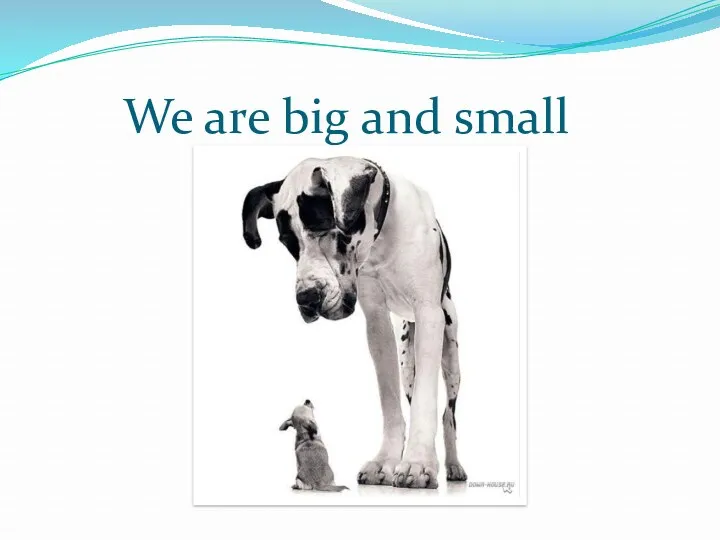 We are big and small