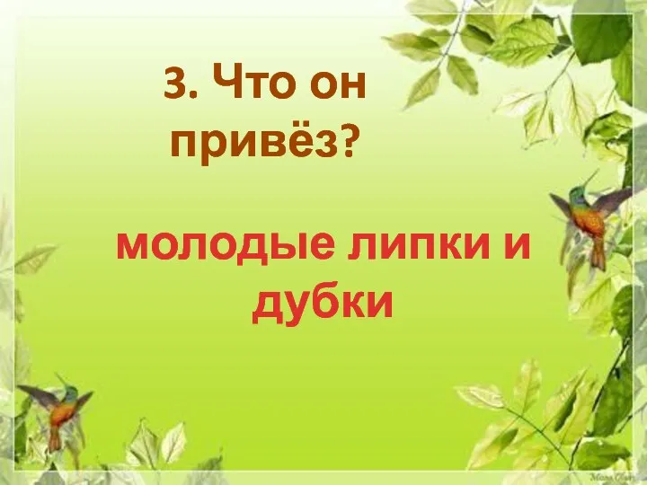 3. Что он привёз? молодые липки и дубки