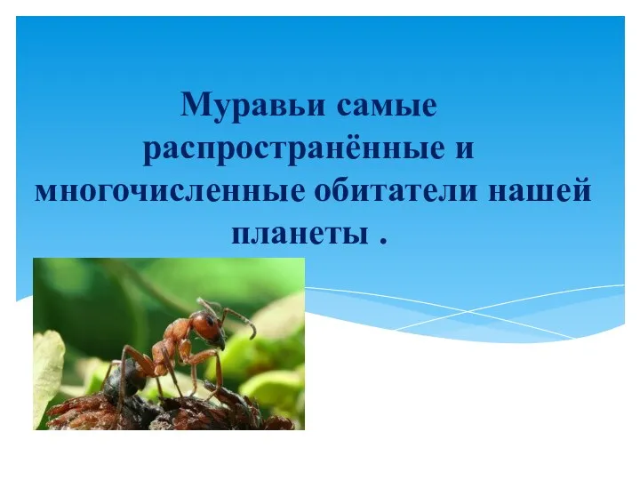 Муравьи самые распространённые и многочисленные обитатели нашей планеты .