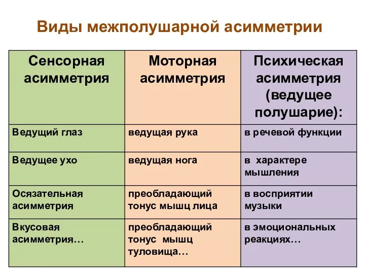 Виды межполушарной асимметрии