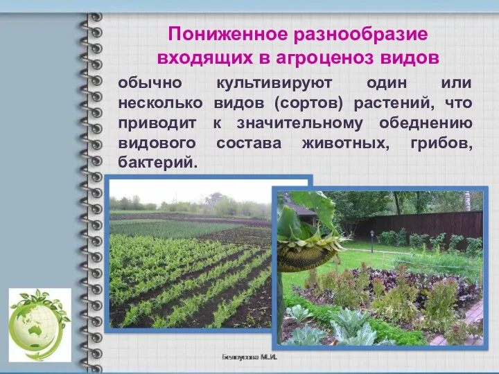 Пониженное разнообразие входящих в агроценоз видов обычно культивируют один или