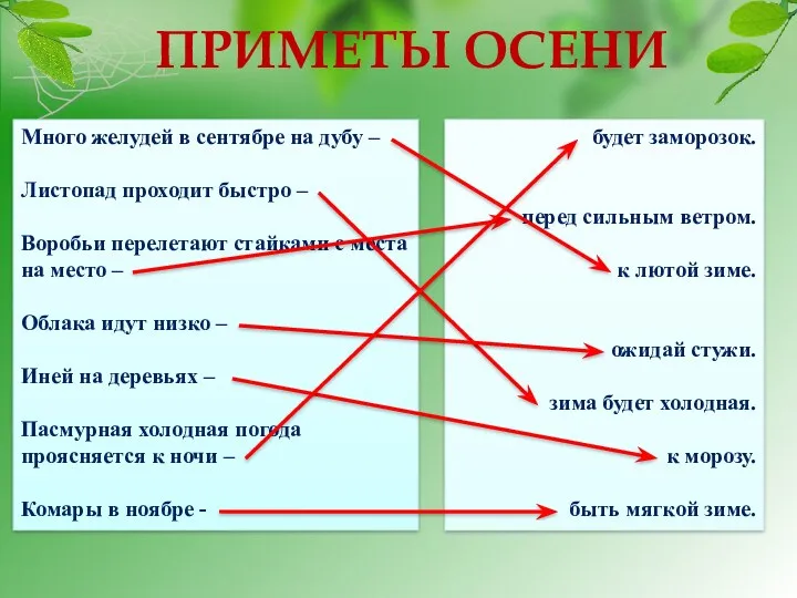 ПРИМЕТЫ ОСЕНИ Много желудей в сентябре на дубу – Листопад