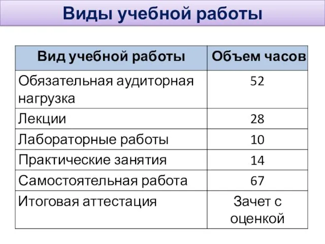 Виды учебной работы