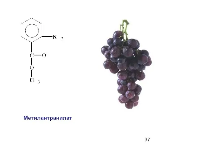 Метилантранилат