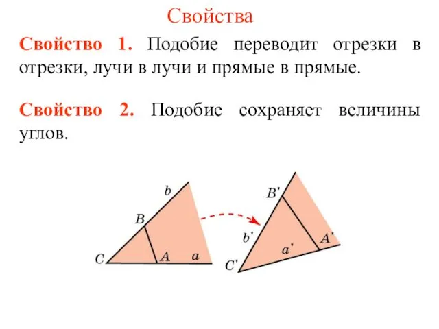 Свойства Свойство 1. Подобие переводит отрезки в отрезки, лучи в