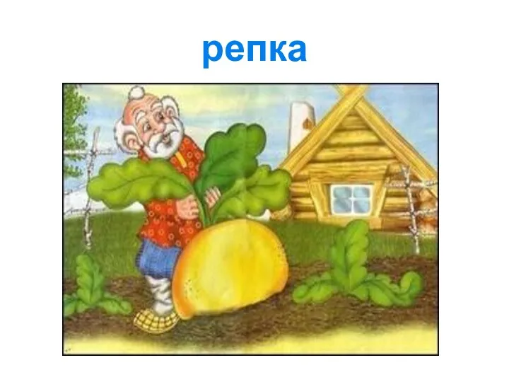 репка