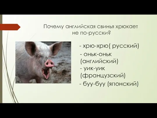 Почему английская свинья хрюкает не по-русски? - хрю-хрю( русский) -