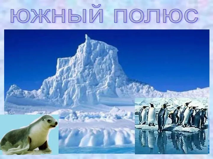 южный полюс