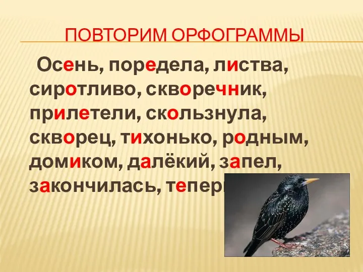 Повторим орфограммы Осень, поредела, листва, сиротливо, скворечник, прилетели, скользнула, скворец,