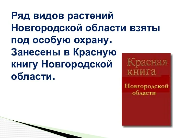 Ряд видов растений Новгородской области взяты под особую охрану. Занесены в Красную книгу Новгородской области.