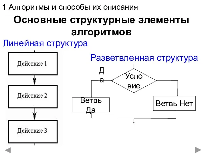 1 Алгоритмы и способы их описания Основные структурные элементы алгоритмов Линейная структура Разветвленная структура