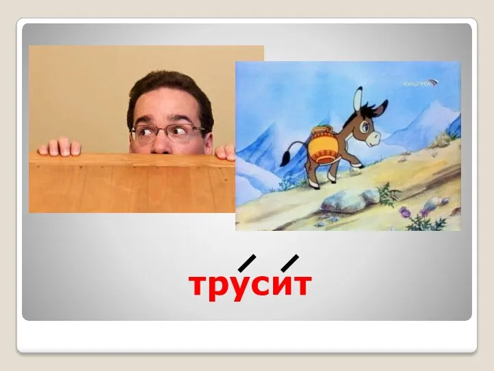 трусит