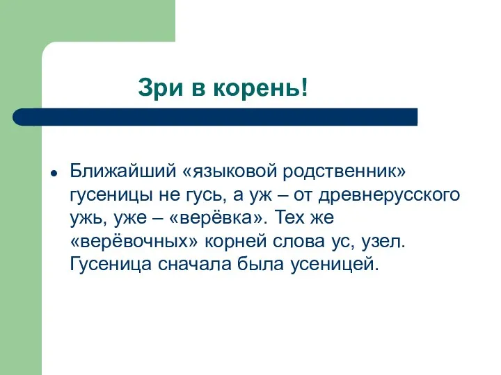 Зри в корень! Ближайший «языковой родственник» гусеницы не гусь, а