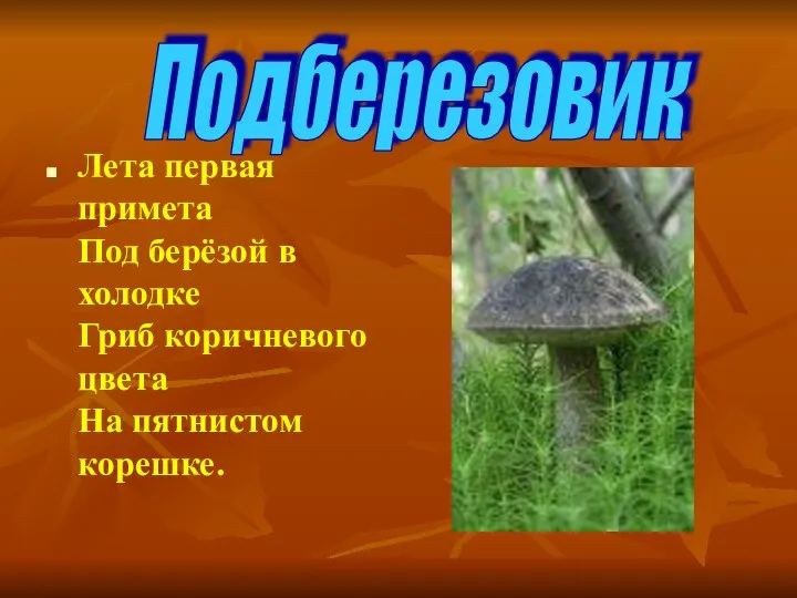 Лета первая примета Под берёзой в холодке Гриб коричневого цвета На пятнистом корешке. Подберезовик