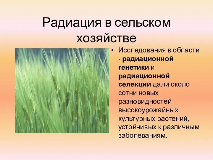 Радиация в сельском хозяйстве Исследования в области - радиационной генетики