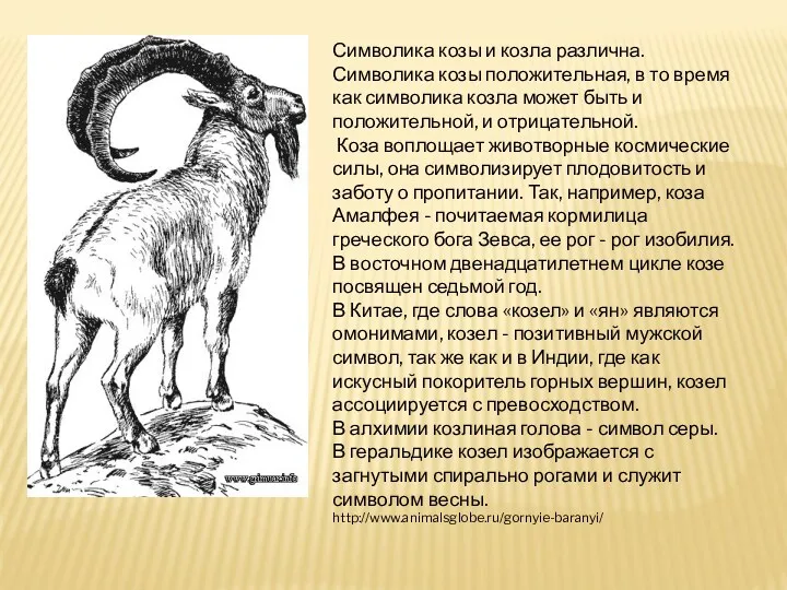 Символика козы и козла различна. Символика козы положительная, в то