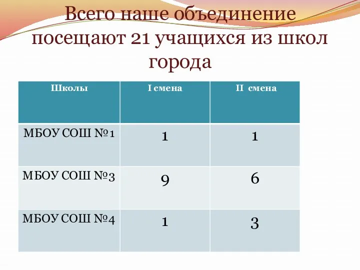 Всего наше объединение посещают 21 учащихся из школ города