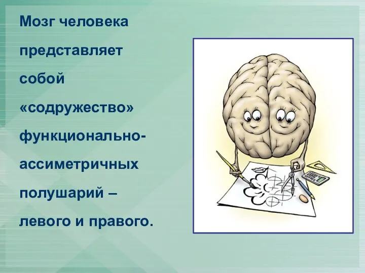 Мозг человека представляет собой «содружество» функционально- ассиметричных полушарий – левого и правого.