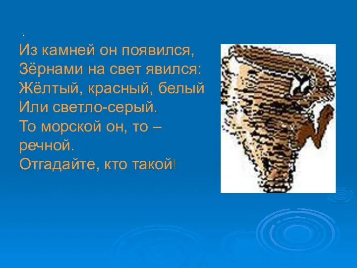 Из камней он появился, Зёрнами на свет явился: Жёлтый, красный,