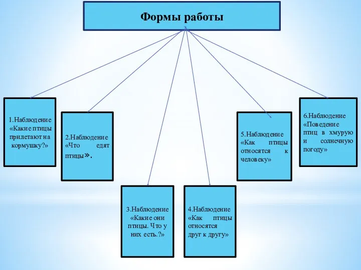 1.Наблюдение «Какие птицы прилетают на кормушку?» 4.Наблюдение «Как птицы относятся друг к другу»