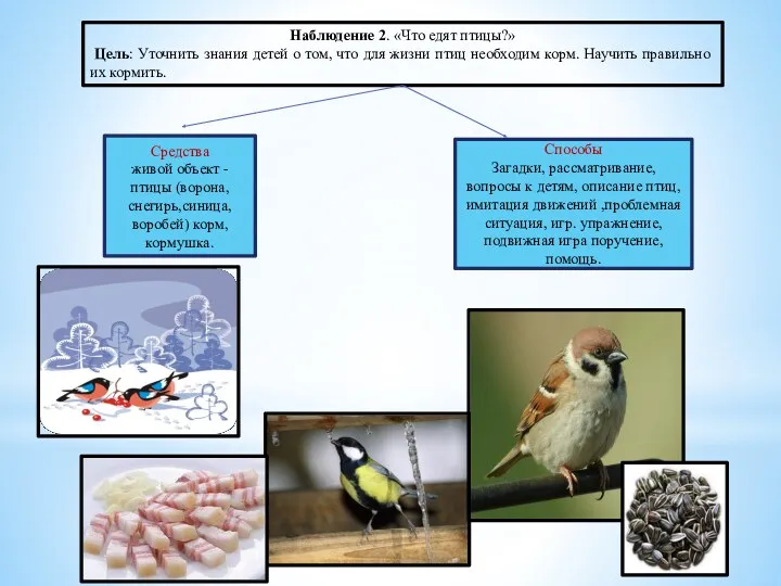 Наблюдение 2. «Что едят птицы?» Цель: Уточнить знания детей о том, что для
