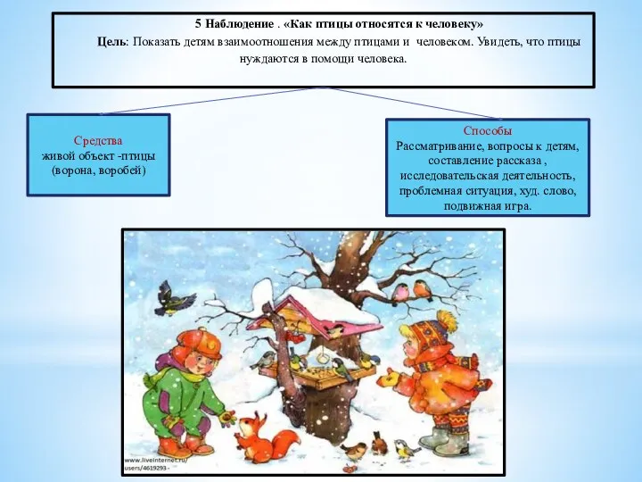 5 Наблюдение . «Как птицы относятся к человеку» Цель: Показать детям взаимоотношения между