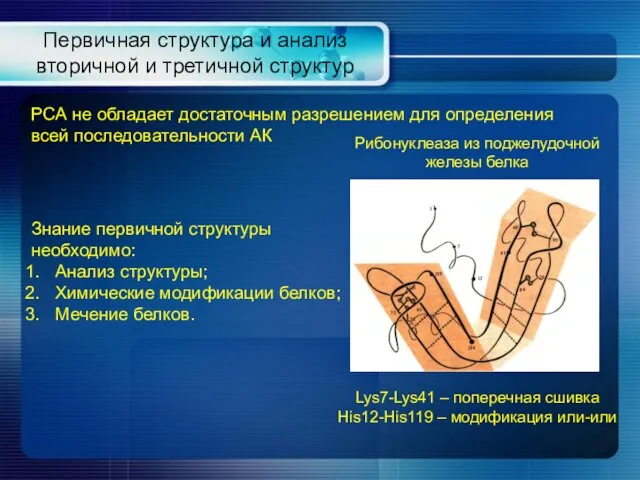 Первичная структура и анализ вторичной и третичной структур РСА не