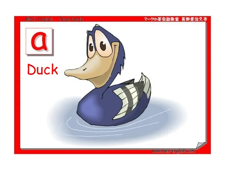 Duck