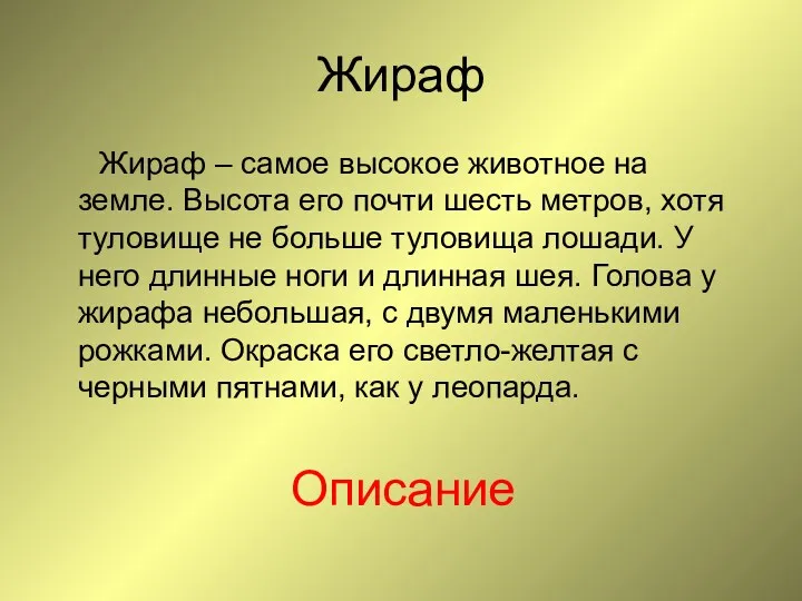 Жираф Жираф – самое высокое животное на земле. Высота его