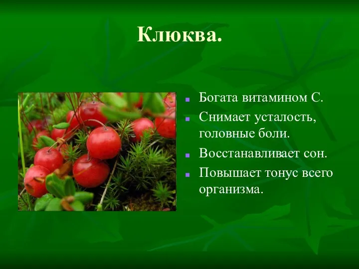 Клюква. Богата витамином С. Снимает усталость, головные боли. Восстанавливает сон. Повышает тонус всего организма.