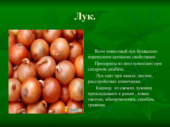 Лук. Всем известный лук буквально переполнен ценными свойствами. Препараты из