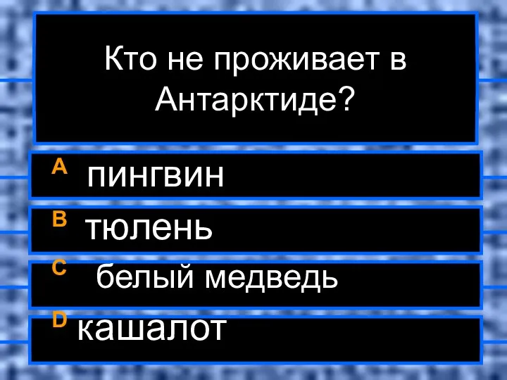 Кто не проживает в Антарктиде? A пингвин B тюлень C белый медведь D кашалот