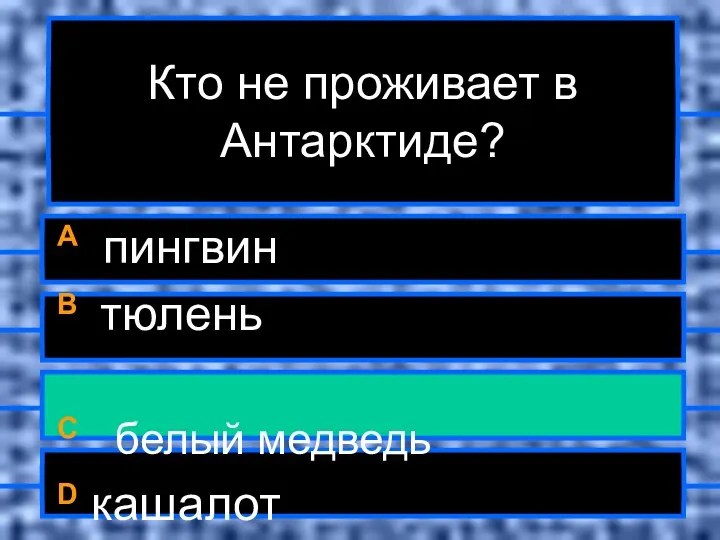 Кто не проживает в Антарктиде? A пингвин B тюлень C белый медведь D кашалот