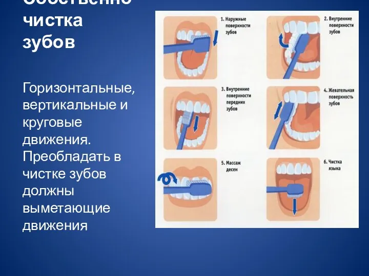 Собственно чистка зубов Горизонтальные, вертикальные и круговые движения. Преобладать в чистке зубов должны выметающие движения