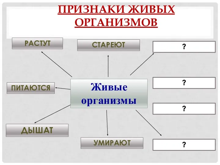 Живые организмы ДЫШАТ ПИТАЮТСЯ РАСТУТ УМИРАЮТ СТАРЕЮТ ? ПРИЗНАКИ ЖИВЫХ ОРГАНИЗМОВ ? ? ?