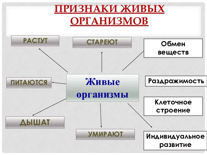 Живые организмы ДЫШАТ ПИТАЮТСЯ РАСТУТ УМИРАЮТ СТАРЕЮТ Клеточное строение ПРИЗНАКИ