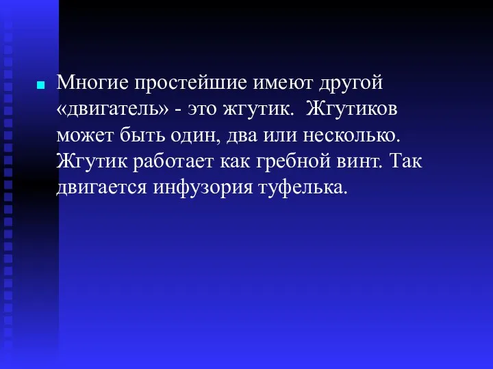 Многие простейшие имеют другой «двигатель» - это жгутик. Жгутиков может