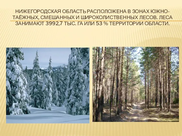 Нижегородская область расположена в зонах южно-таёжных, смешанных и широколиственных лесов.