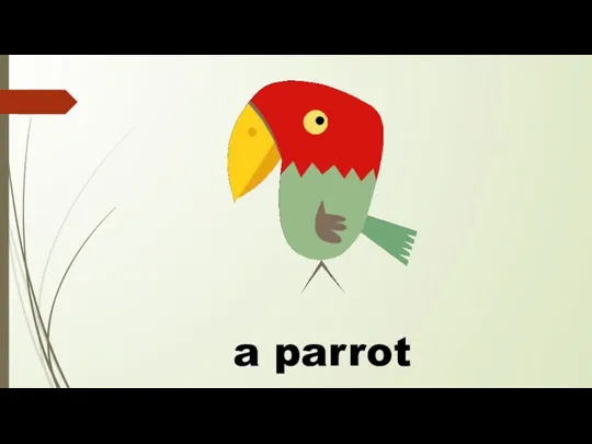 a parrot