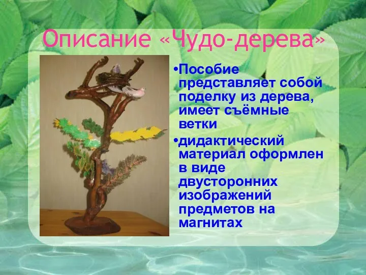 Описание «Чудо-дерева» Пособие представляет собой поделку из дерева, имеет съёмные