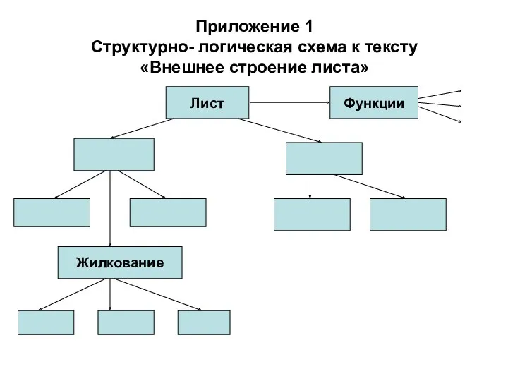 Приложение 1 Структурно- логическая схема к тексту «Внешнее строение листа» Лист Функции Жилкование