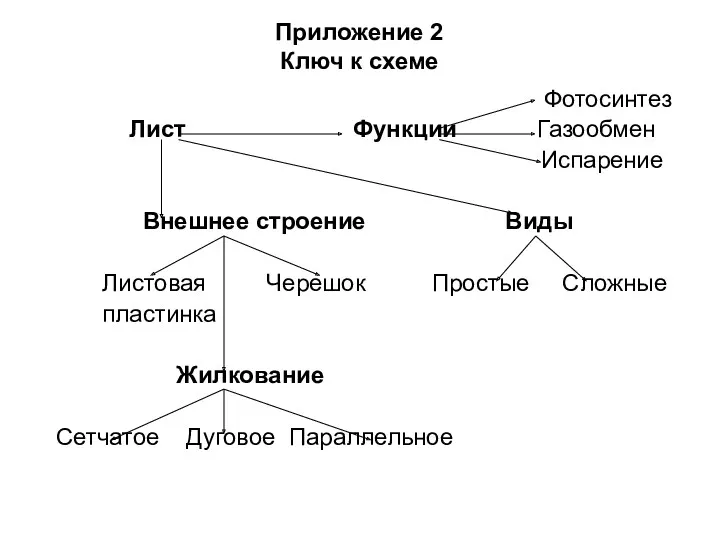 Приложение 2 Ключ к схеме Фотосинтез Лист Функции Газообмен Испарение Внешнее строение Виды