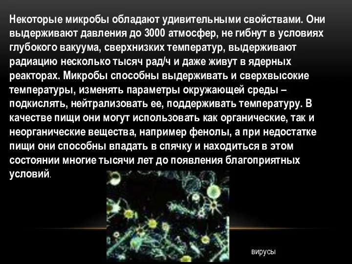 Некоторые микробы обладают удивительными свойствами. Они выдерживают давления до 3000