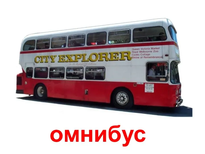 омнибус