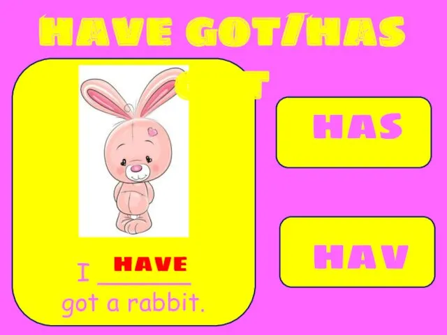 has have I ______ got a rabbit. have have got/has got