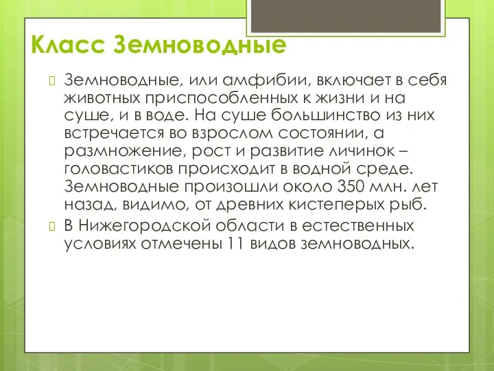 Класс Земноводные Земноводные, или амфибии, включает в себя животных приспособленных