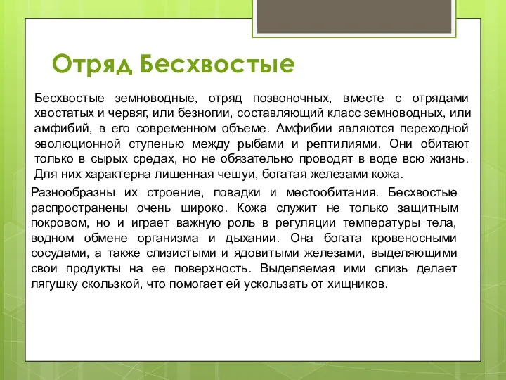 Отряд Бесхвостые Бесхвостые земноводные, отряд позвоночных, вместе с отрядами хвостатых