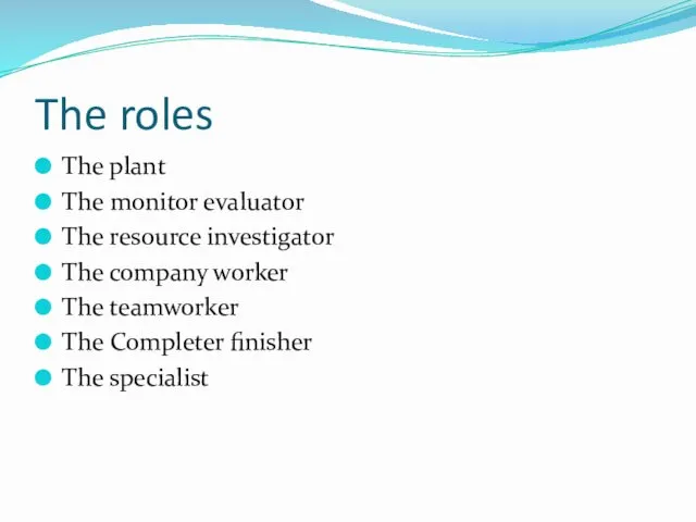 The roles The plant The monitor evaluator The resource investigator The company worker