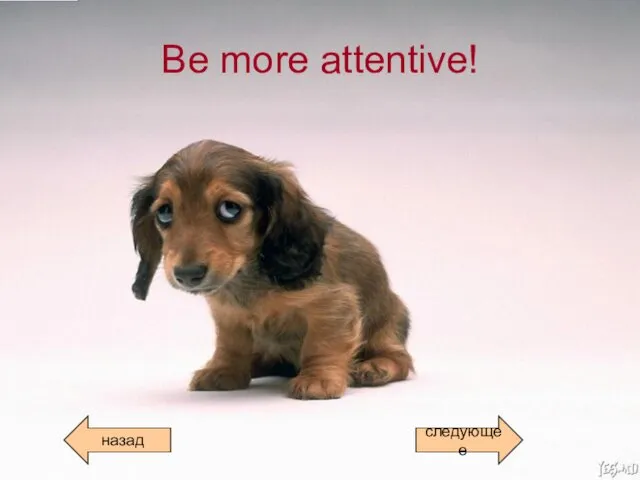 Be more attentive! назад следующее